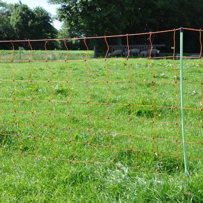 022175_6WEB.webp_800x800