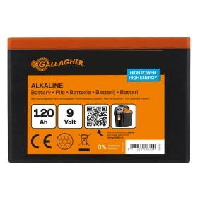 008704_2WEB.webp_280x280