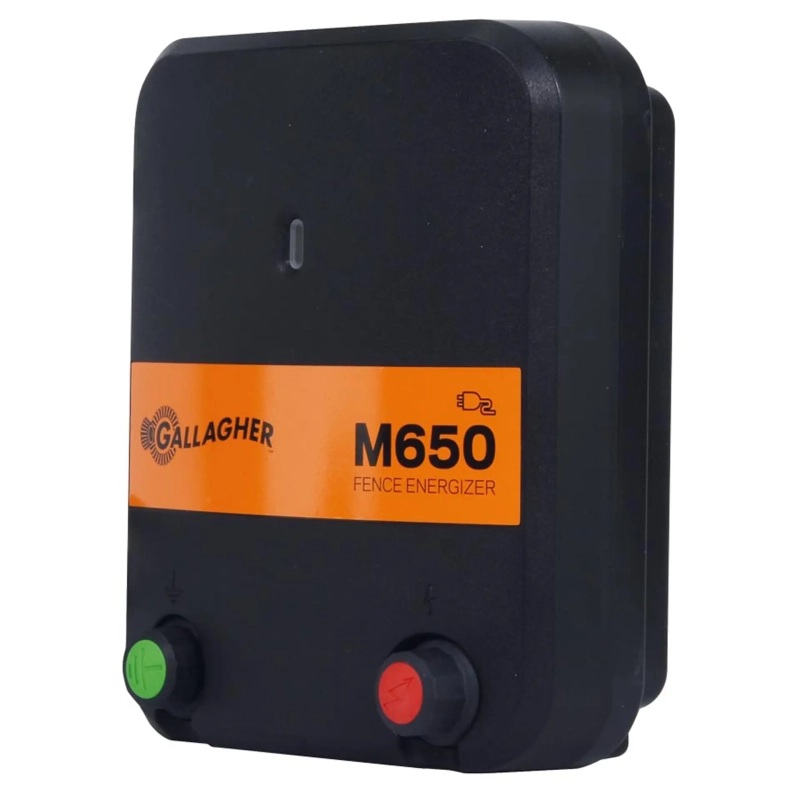 323329_1WEB.webp_800x800