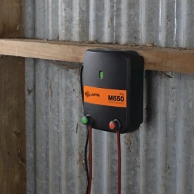 323329_2WEB.webp_280x280