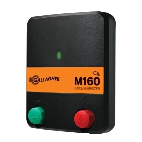 384306_1WEB.webp_280x280