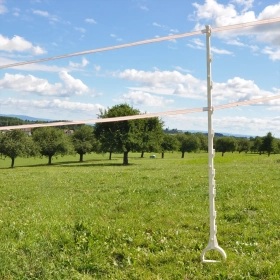 019328_2WEB.webp_280x280
