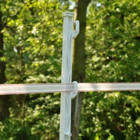 019328_3WEB.webp_280x280