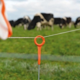 069316_4WEB.webp_280x280