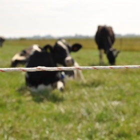 069316_7WEB.webp_280x280