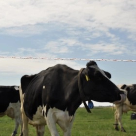 079421_6WEB.webp_280x280