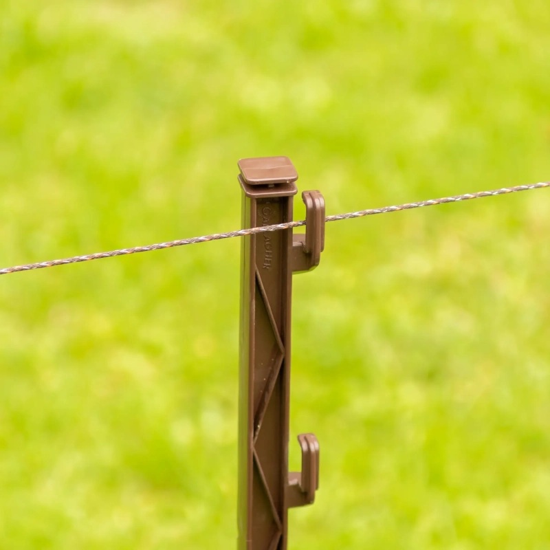 086443_3WEB.webp_800x800