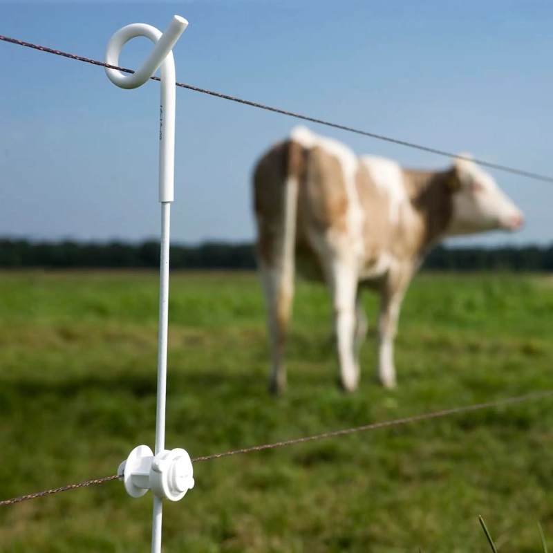 086443_4WEB.webp_800x800