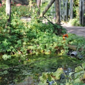 086443_5WEB.webp_280x280