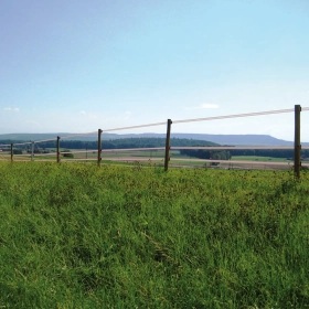 007592_4WEB.webp_280x280