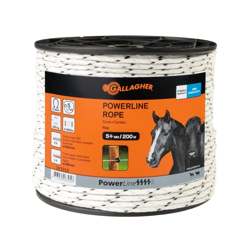 063956_1WEB.webp_800x800