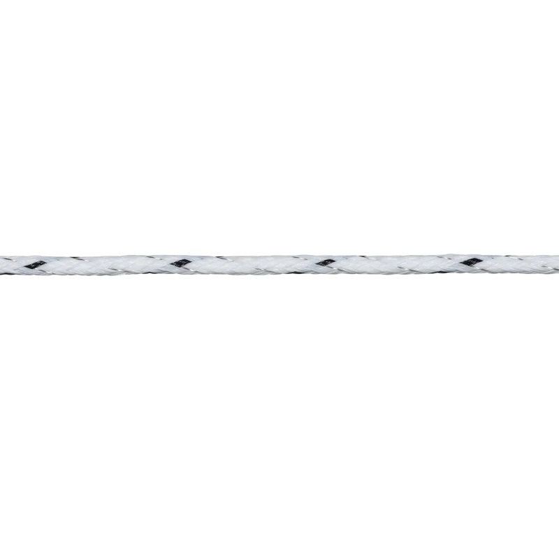 063956_2WEB.webp_800x800