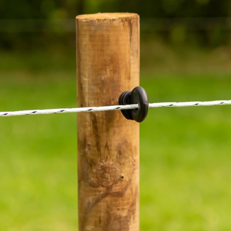 063956_3WEB.webp_800x800