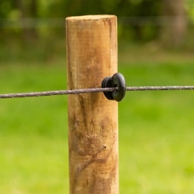 063963_3WEB.webp_280x280