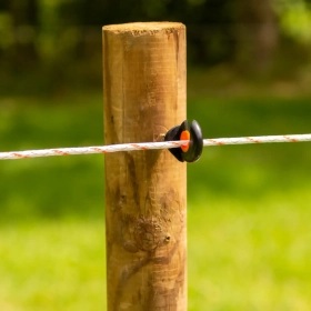 069293_3WEB.webp_280x280