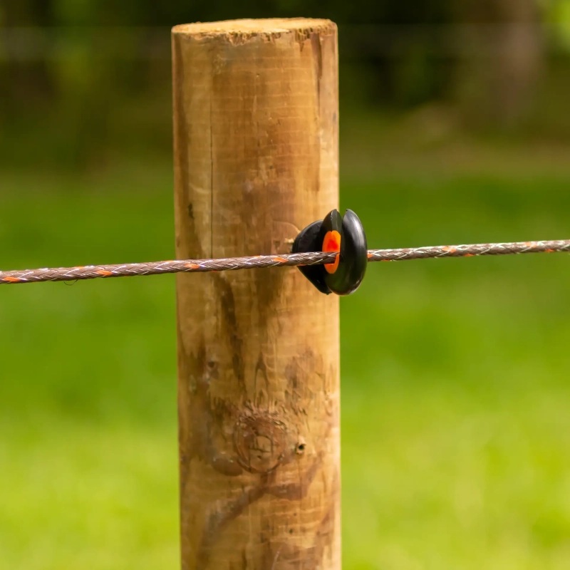 069309_3WEB.webp_800x800