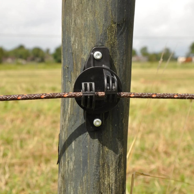 069309_7WEB.webp_800x800