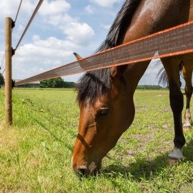 070879_5WEB.webp_280x280