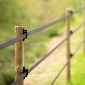 070879_6WEB.webp_280x280