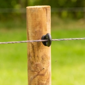 063949_3WEB.webp_280x280