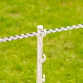 106236_3WEB.webp_280x280