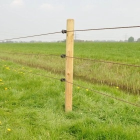 060894_3WEB.webp_280x280